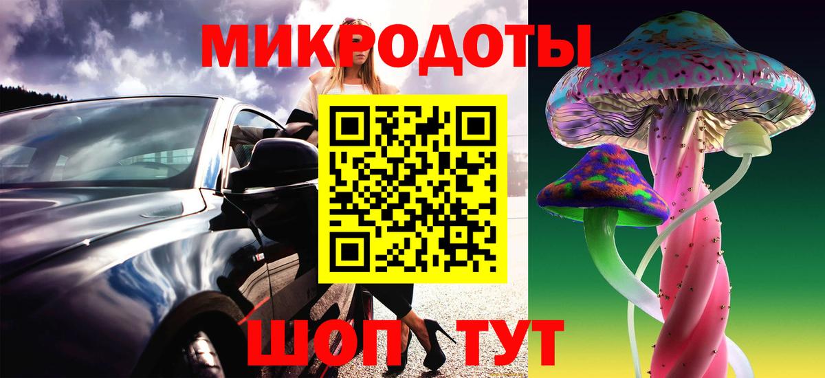 Галлюциногенные грибы Psilocybine cubensis Белово
