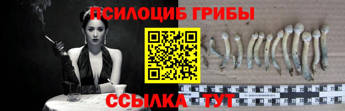 Галлюциногенные грибы MAGIC MUSHROOMS  Вход с VPN  Белово  Псилоцибиновые грибы ЛСД 